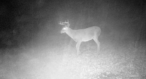 7168 Route 11 Churubusco NY 12923