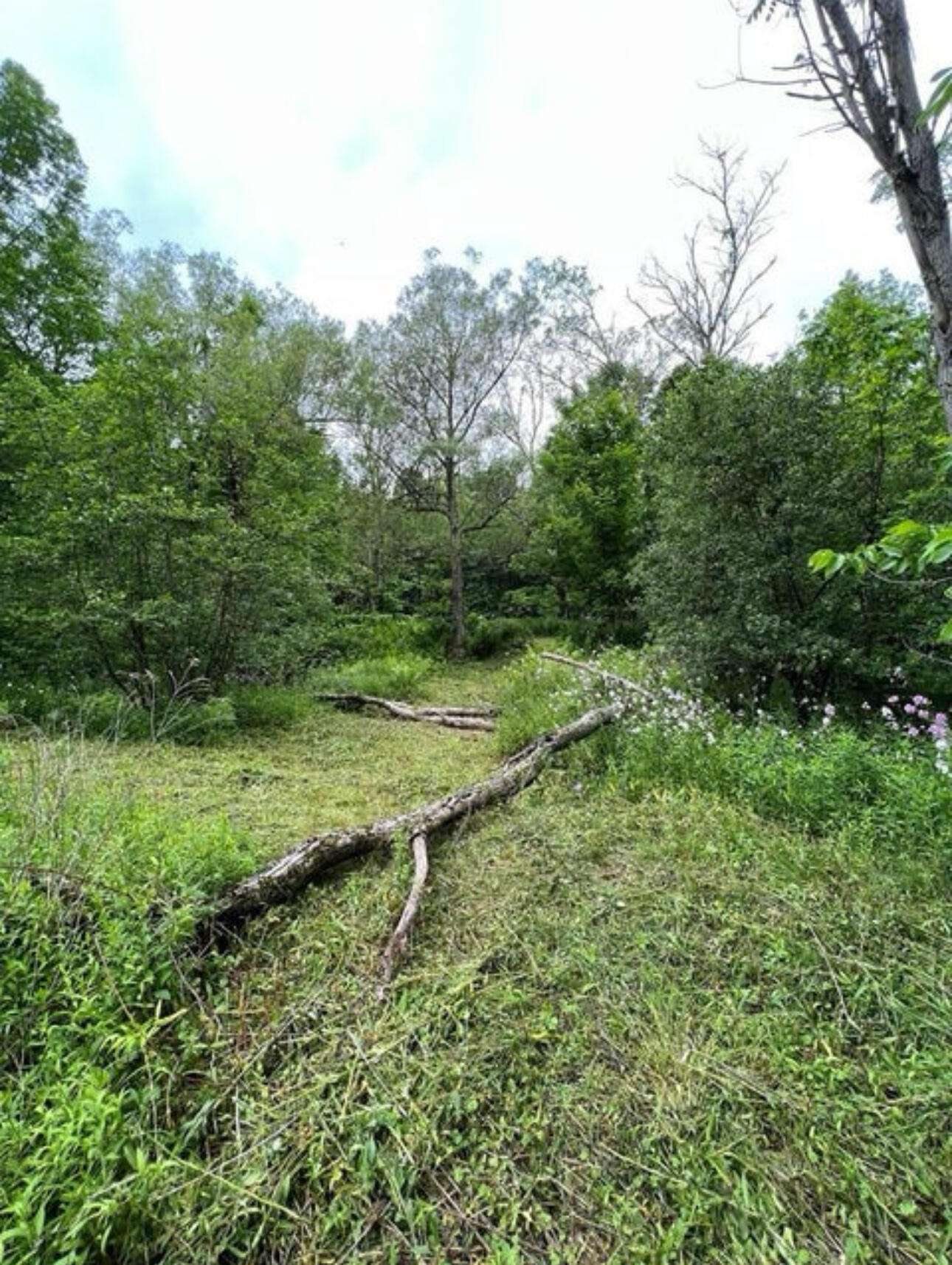 15 Simms Road Chateaugay NY 12920