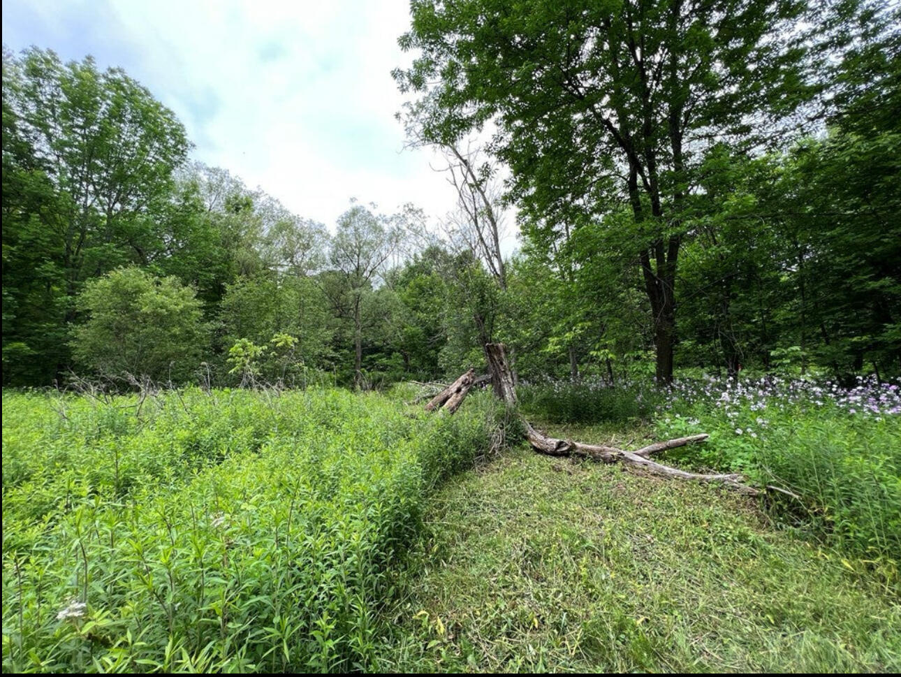 15 Simms Road Chateaugay NY 12920