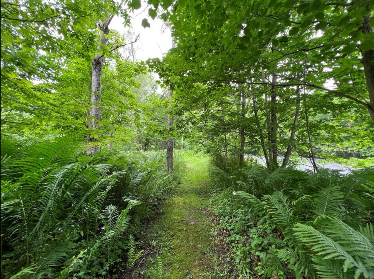 15 Simms Road Chateaugay NY 12920