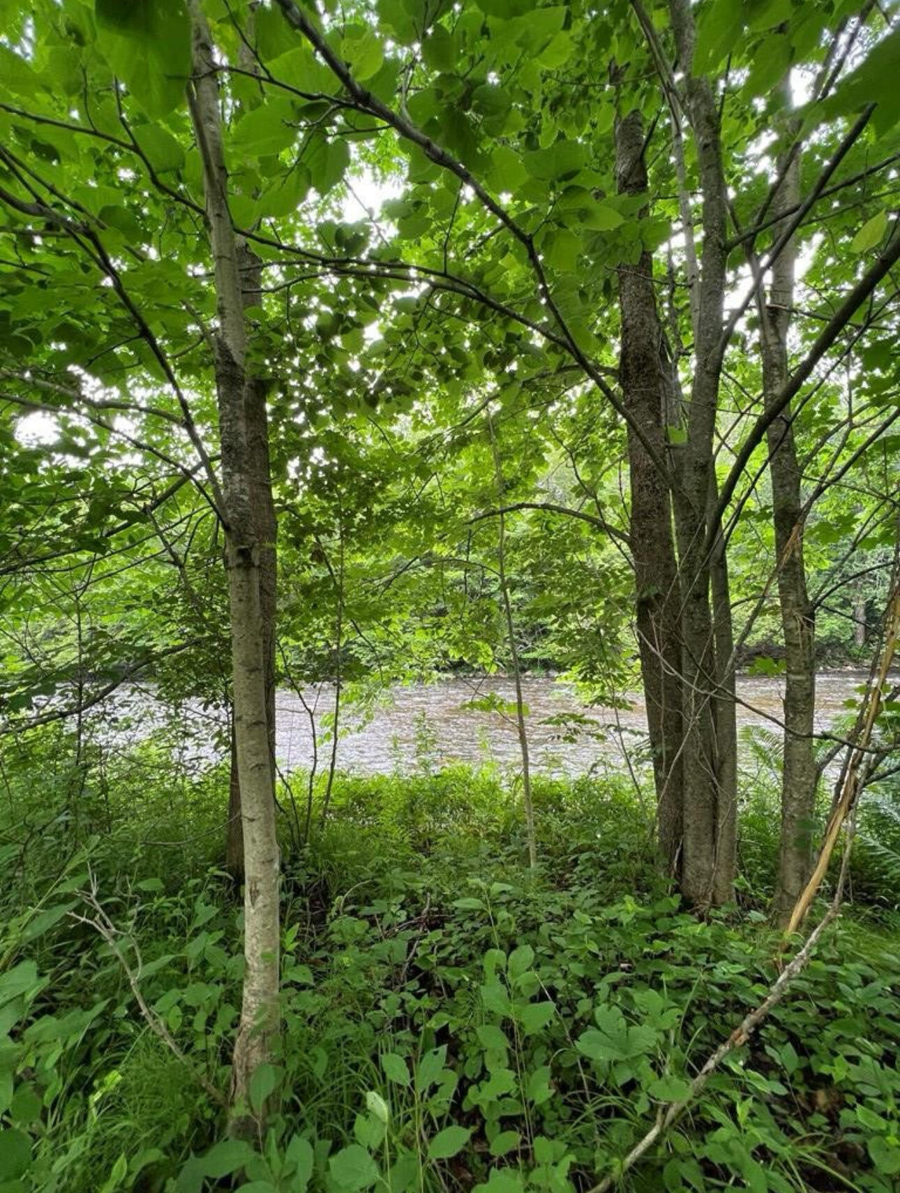 15 Simms Road Chateaugay NY 12920