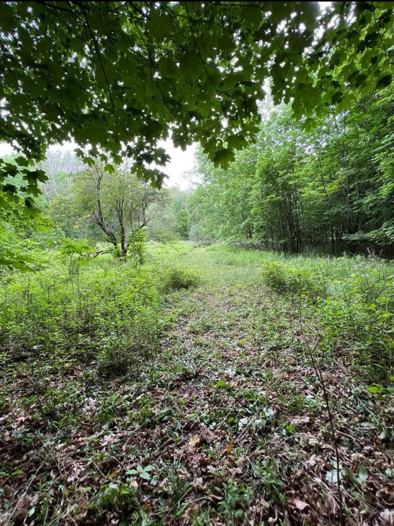 15 Simms Road Chateaugay NY 12920
