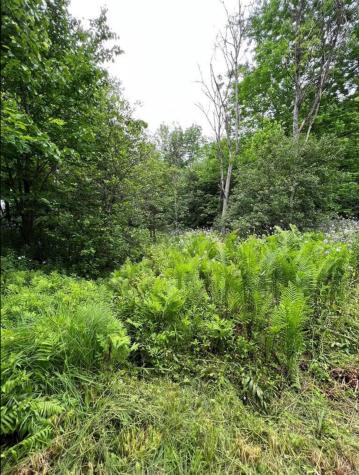 15 Simms Road Chateaugay NY 12920