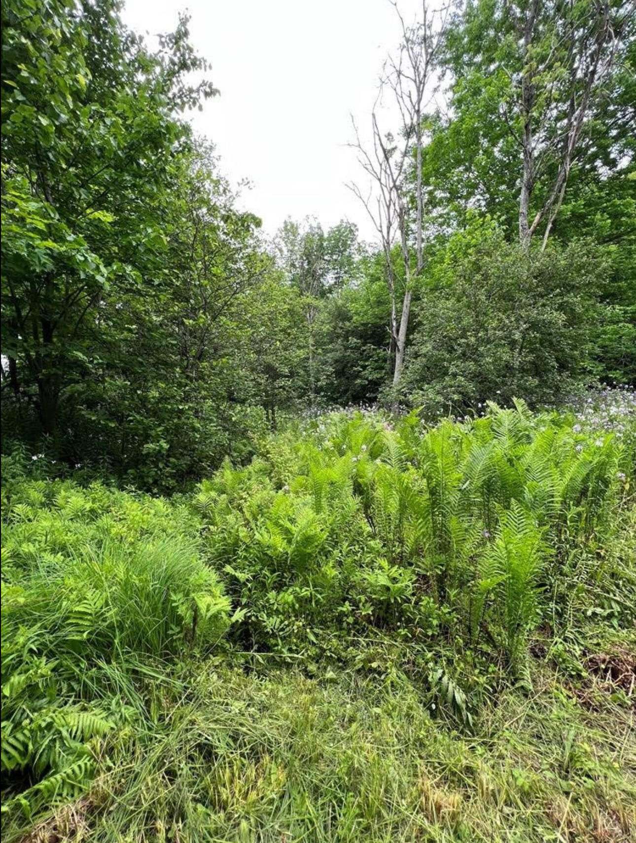 15 Simms Road Chateaugay NY 12920
