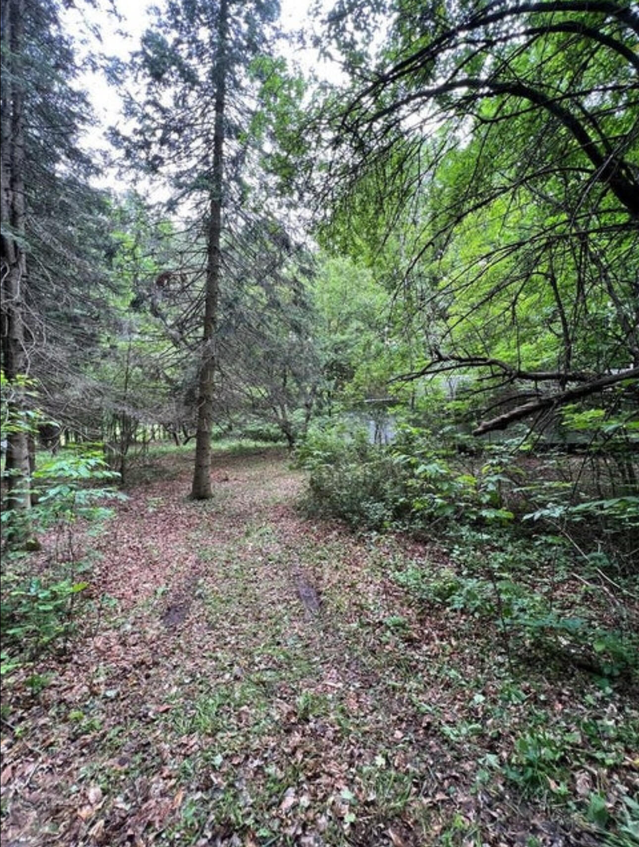15 Simms Road Chateaugay NY 12920