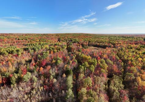 232 Soucia Road Churubusco NY 12923