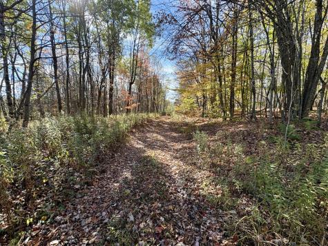 232 Soucia Road Churubusco NY 12923