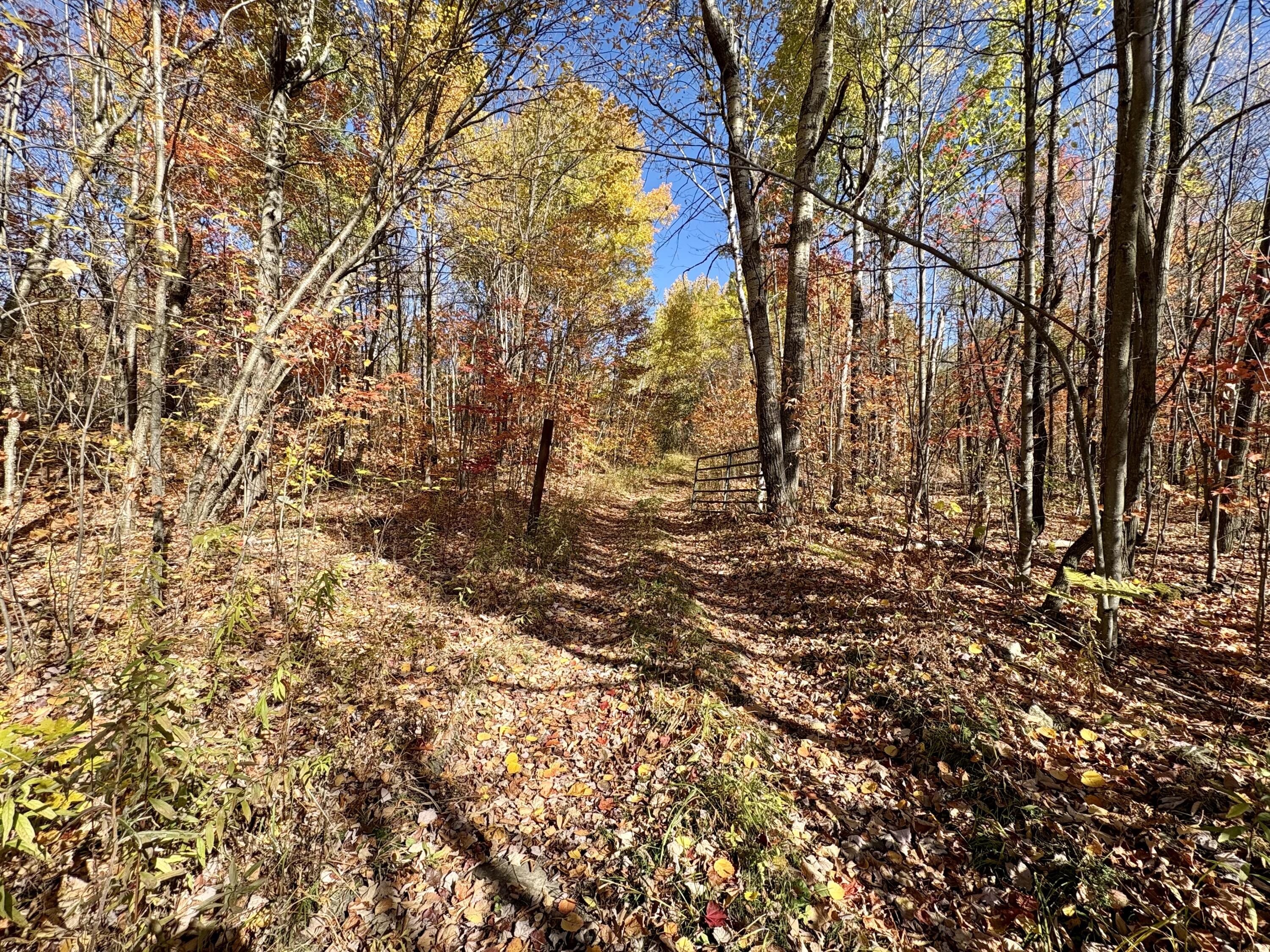 232 Soucia Road Churubusco NY 12923