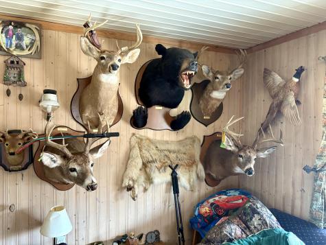 232 Soucia Road Churubusco NY 12923