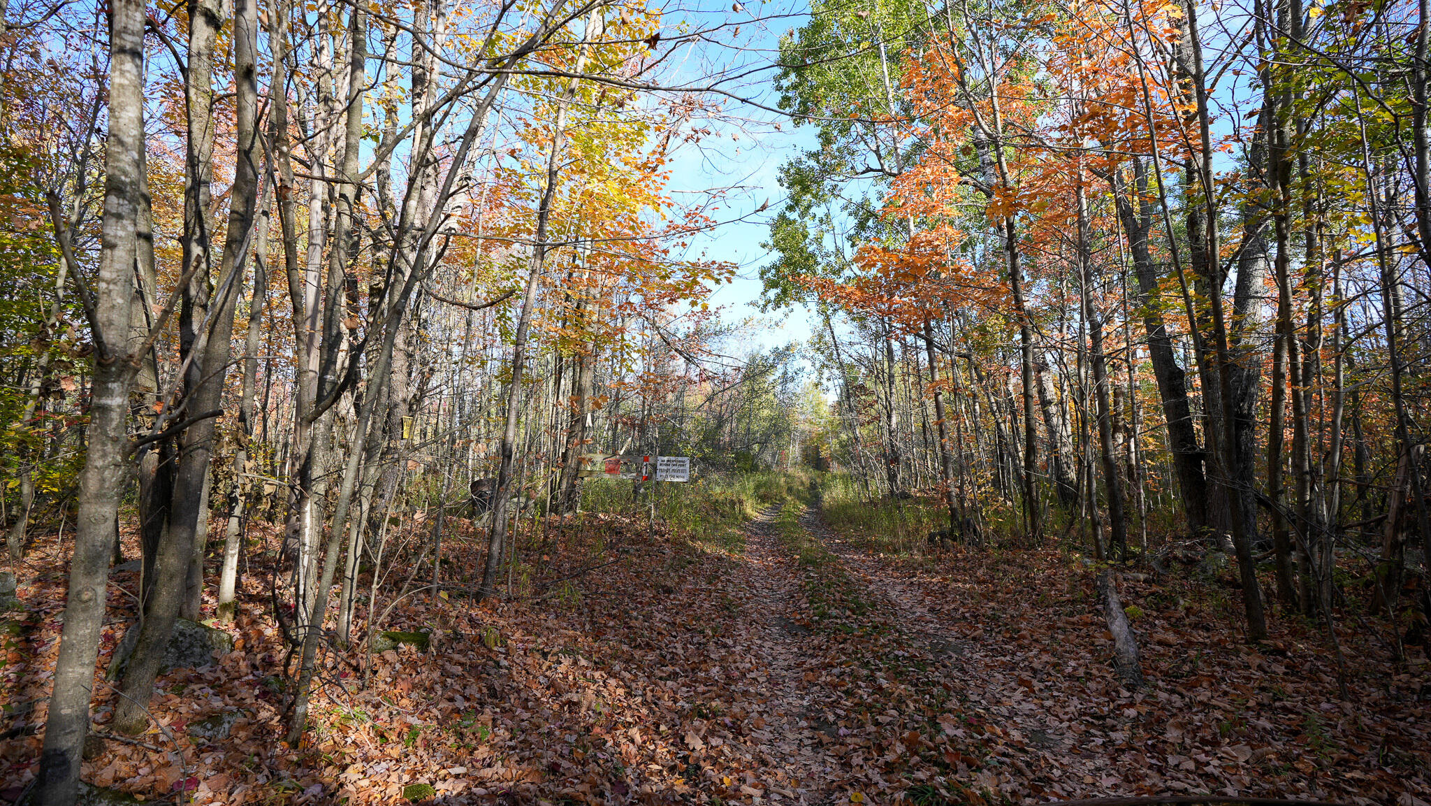 232 Soucia Road Churubusco NY 12923
