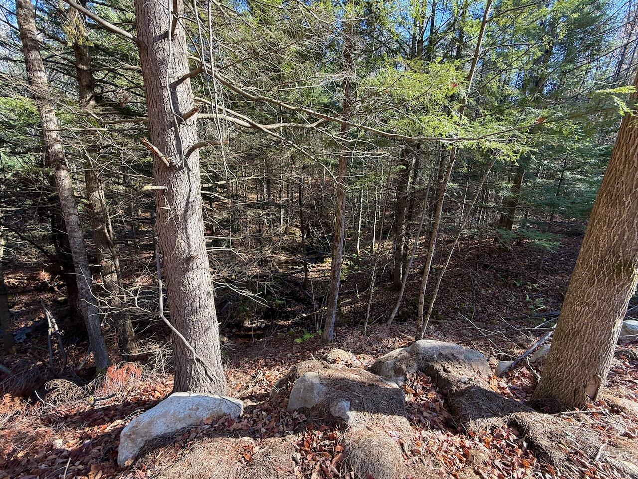 10281 Nys Route 9n Keene NY 12942