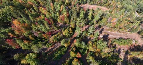 Lot 3 Hardy Road Wilmington NY 12997