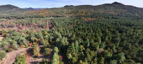 Lot 3 Hardy Road Wilmington NY 12997