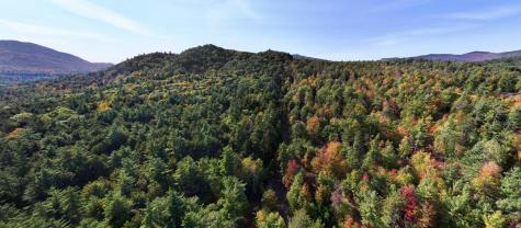 Lot 3 Hardy Road Wilmington NY 12997