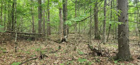 0 Spruce Lane Jay NY 12941