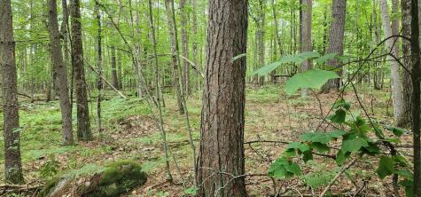 0 Spruce Lane Jay NY 12941