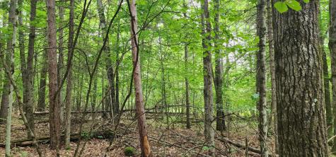 0 Spruce Lane Jay NY 12941