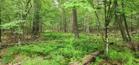 0 Spruce Lane Jay NY 12941