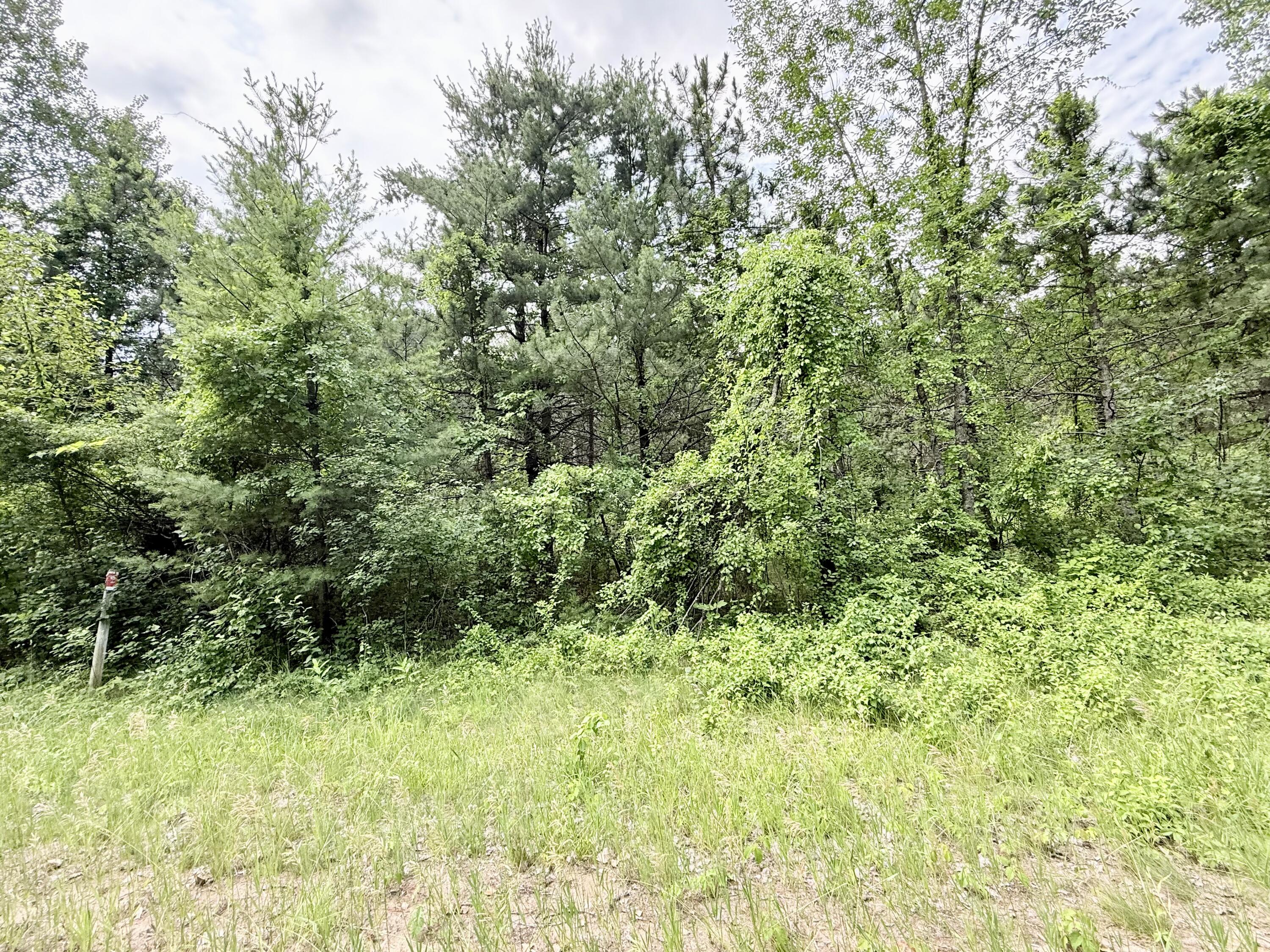 0 Chasm Road Lot 4 Keeseville NY 12944