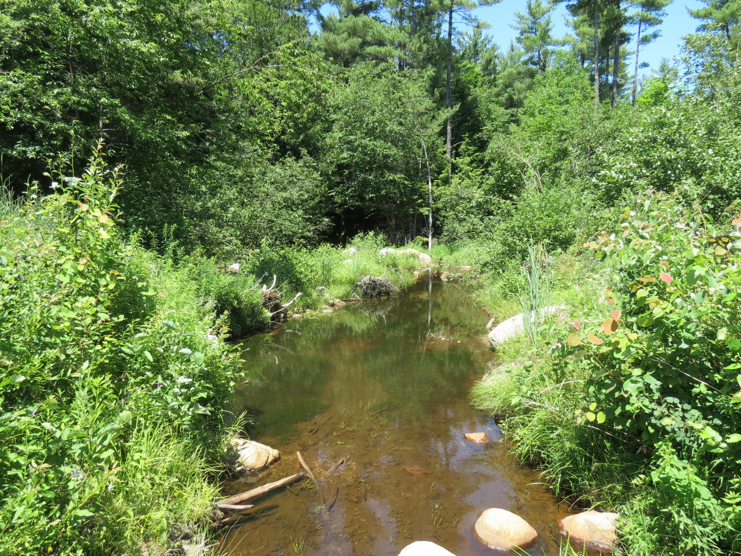 369 Upper Jay-trumbulls Corners Road Jay NY 12941