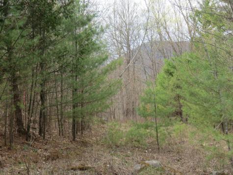 369 Upper Jay-trumbulls Corners Road Jay NY 12941