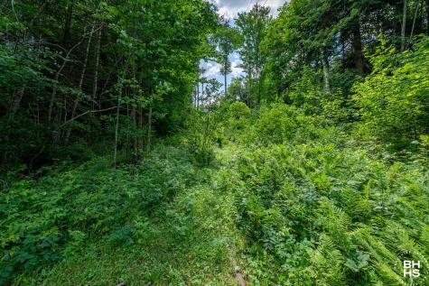 285 Blue Spruce Drive Loon Lake NY 12989