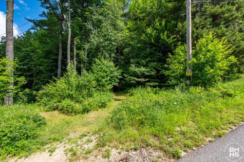 285 Blue Spruce Drive Loon Lake NY 12989
