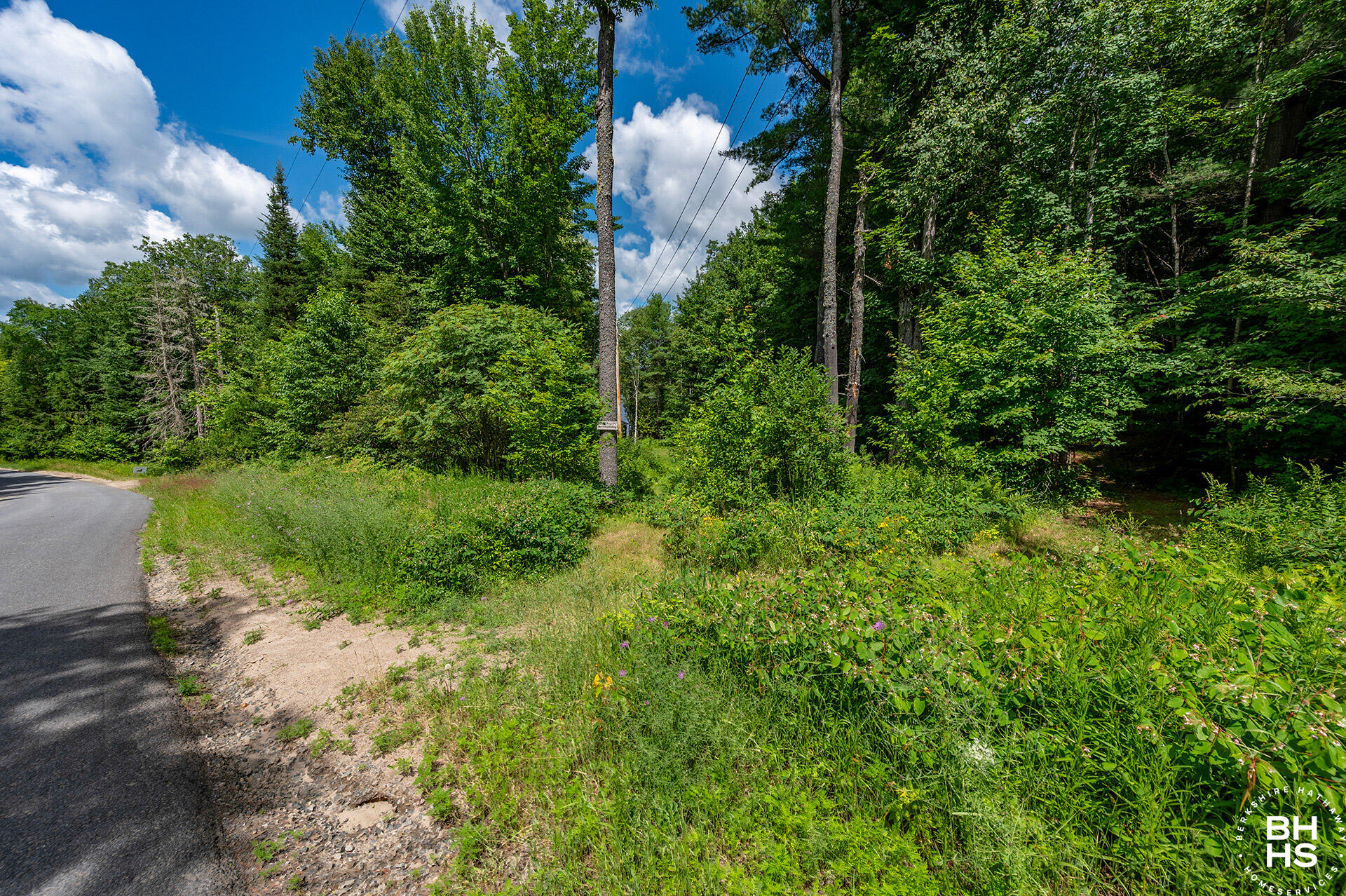 285 Blue Spruce Drive Loon Lake NY 12989