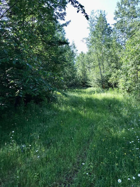 0 Bear Swamp Road Peru NY 12972