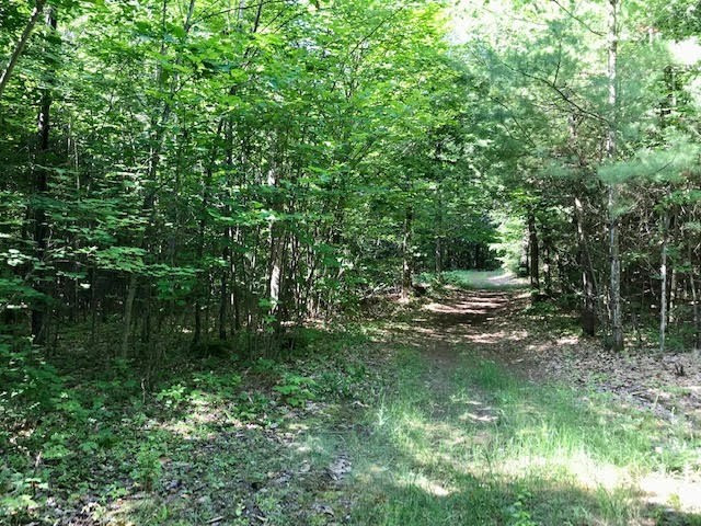 0 Bear Swamp Road Peru NY 12972