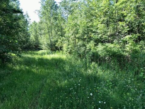 0 Bear Swamp Road Peru NY 12972