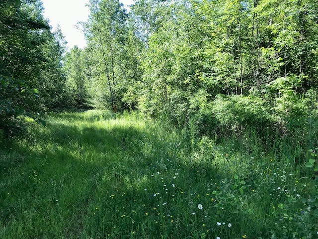0 Bear Swamp Road Peru NY 12972