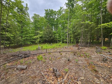 74 Tamarac Drive Tupper Lake NY 12986