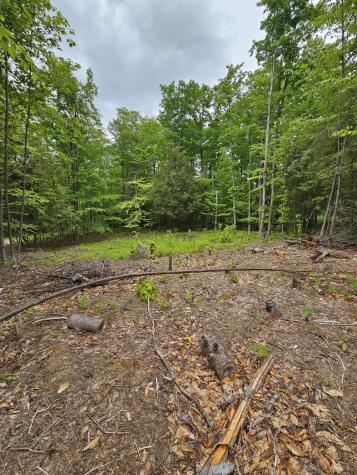 74 Tamarac Drive Tupper Lake NY 12986