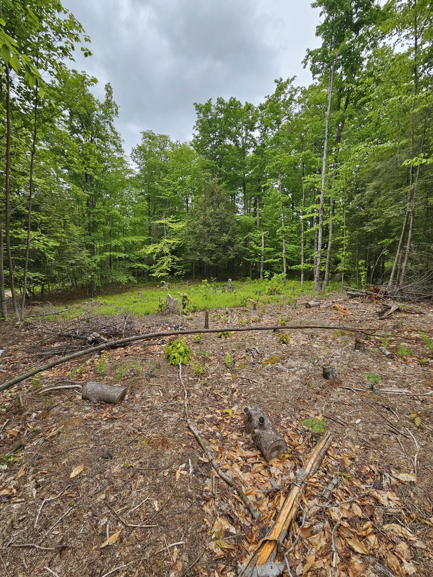 74 Tamarac Drive Tupper Lake NY 12986