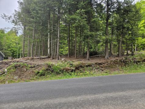 74 Tamarac Drive Tupper Lake NY 12986