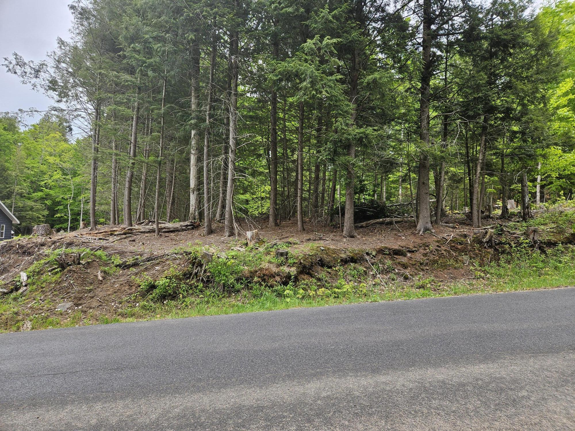 74 Tamarac Drive Tupper Lake NY 12986