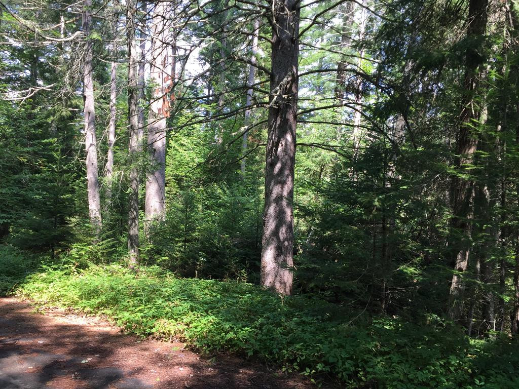 0 Lake Placid Club Way Lake Placid NY 12946