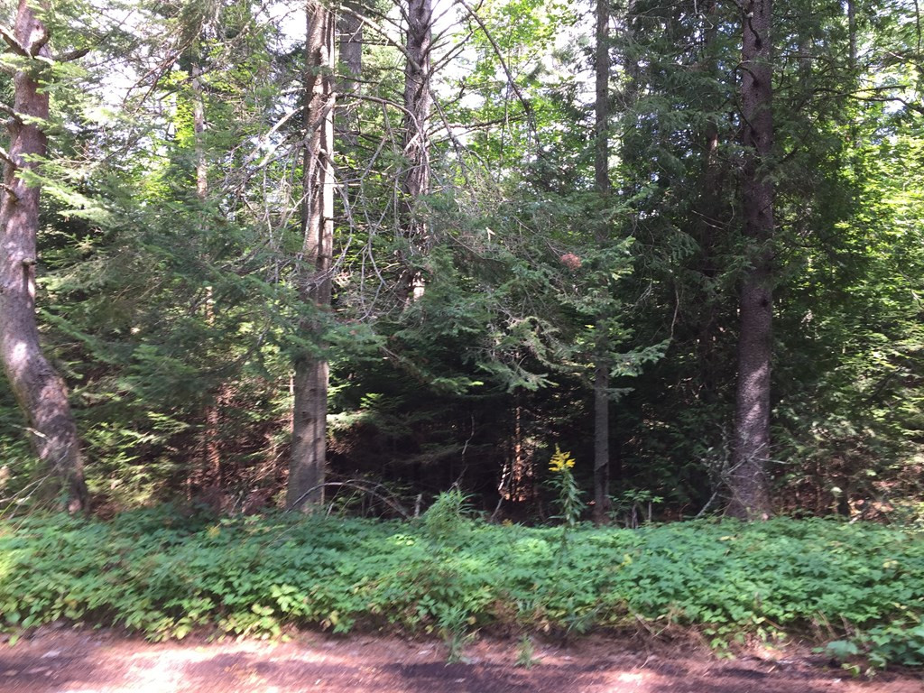 0 Lake Placid Club Way Lake Placid NY 12946