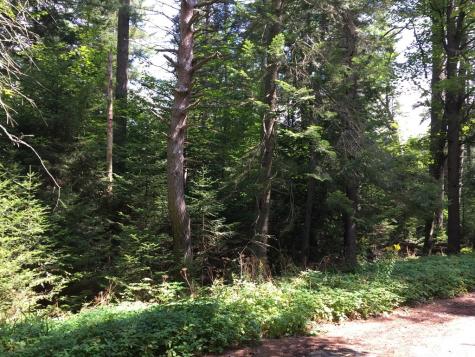 0 Lake Placid Club Way Lake Placid NY 12946
