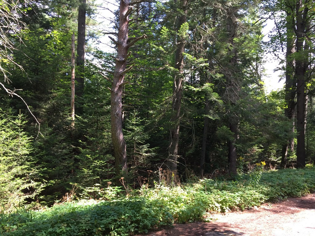 0 Lake Placid Club Way Lake Placid NY 12946