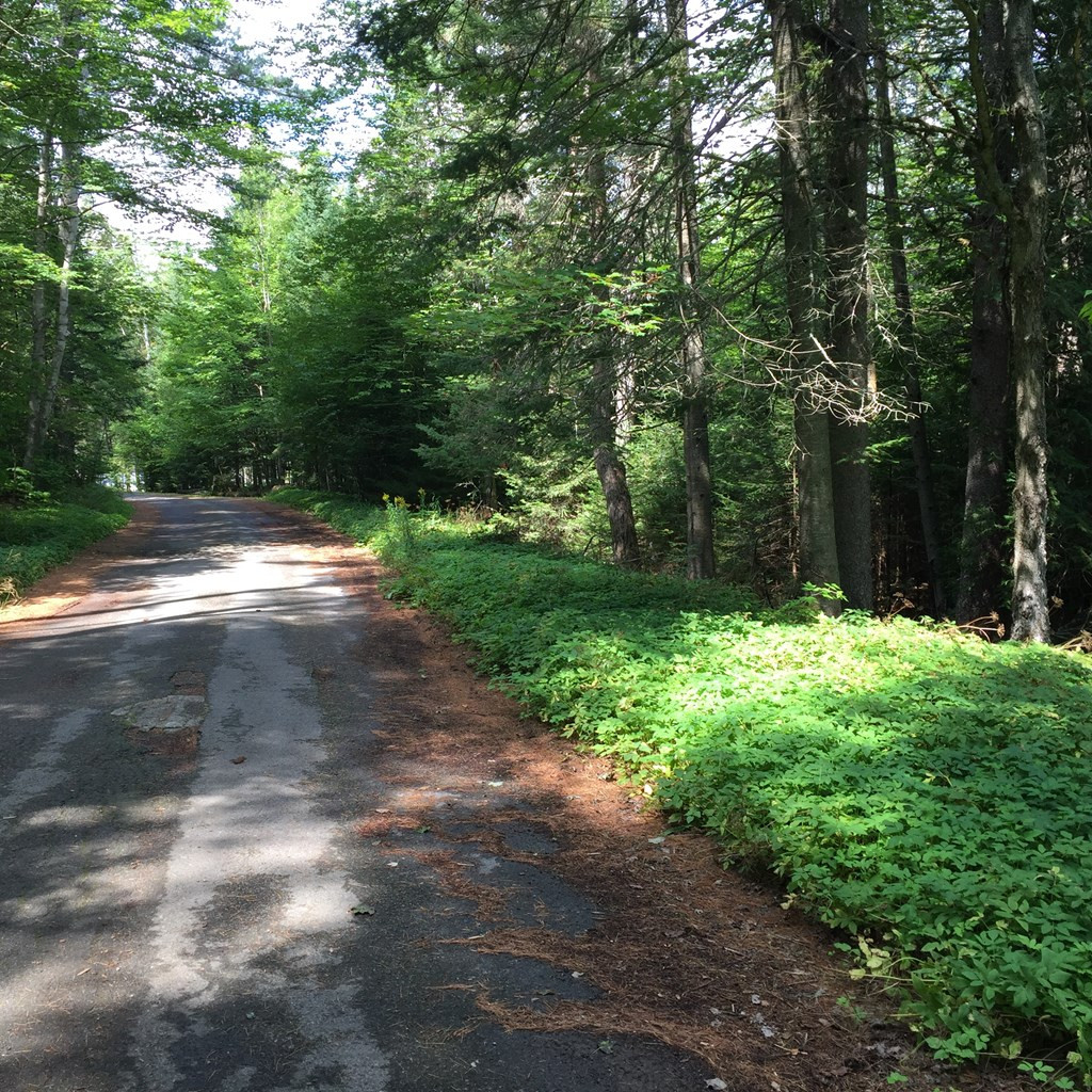 0 Lake Placid Club Way Lake Placid NY 12946