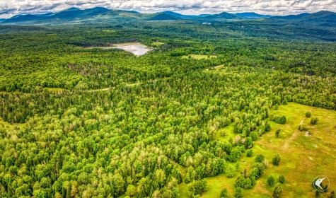 6 Daigneau Trail Vermontville NY 12989