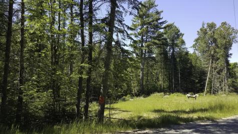 0 Bear Cub Lane Lake Placid NY 12946