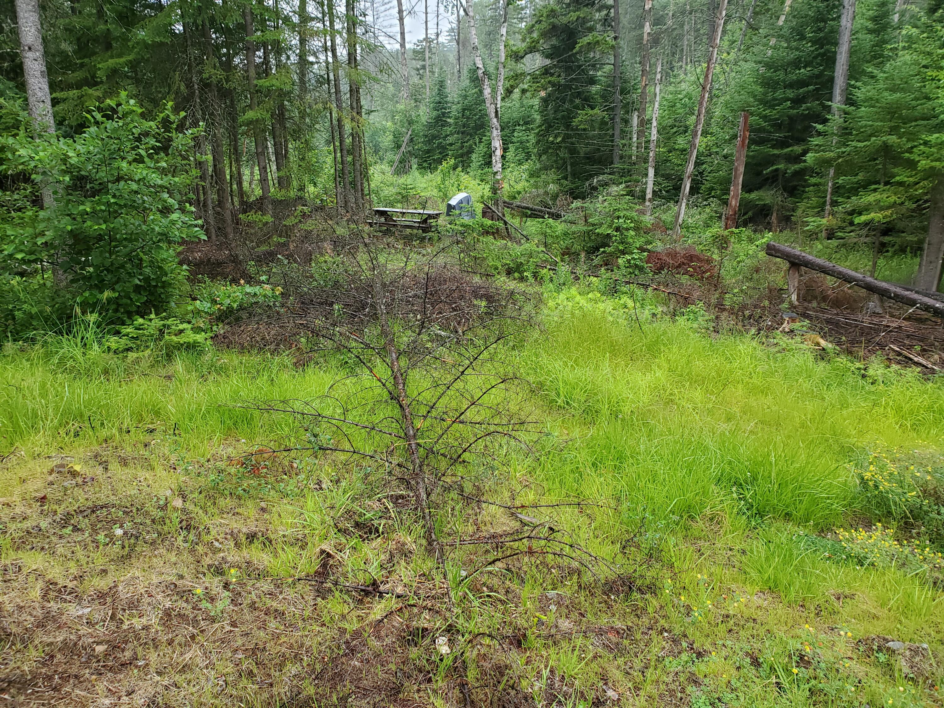 0 Bear Cub Lane Lake Placid NY 12946