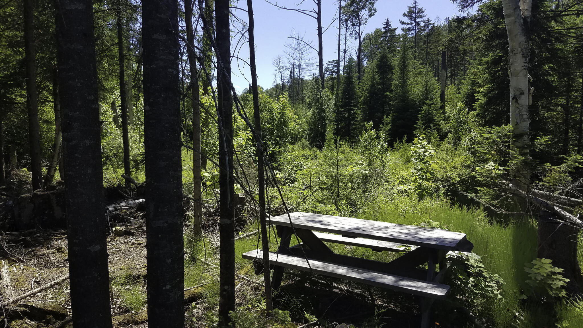 0 Bear Cub Lane Lake Placid NY 12946