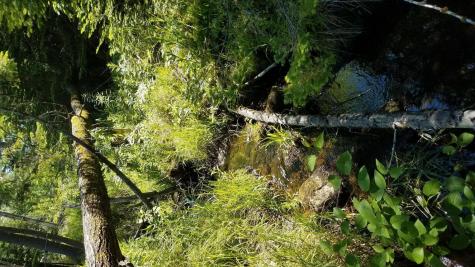 0 Bear Cub Lane Lake Placid NY 12946
