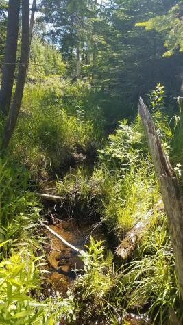 0 Bear Cub Lane Lake Placid NY 12946