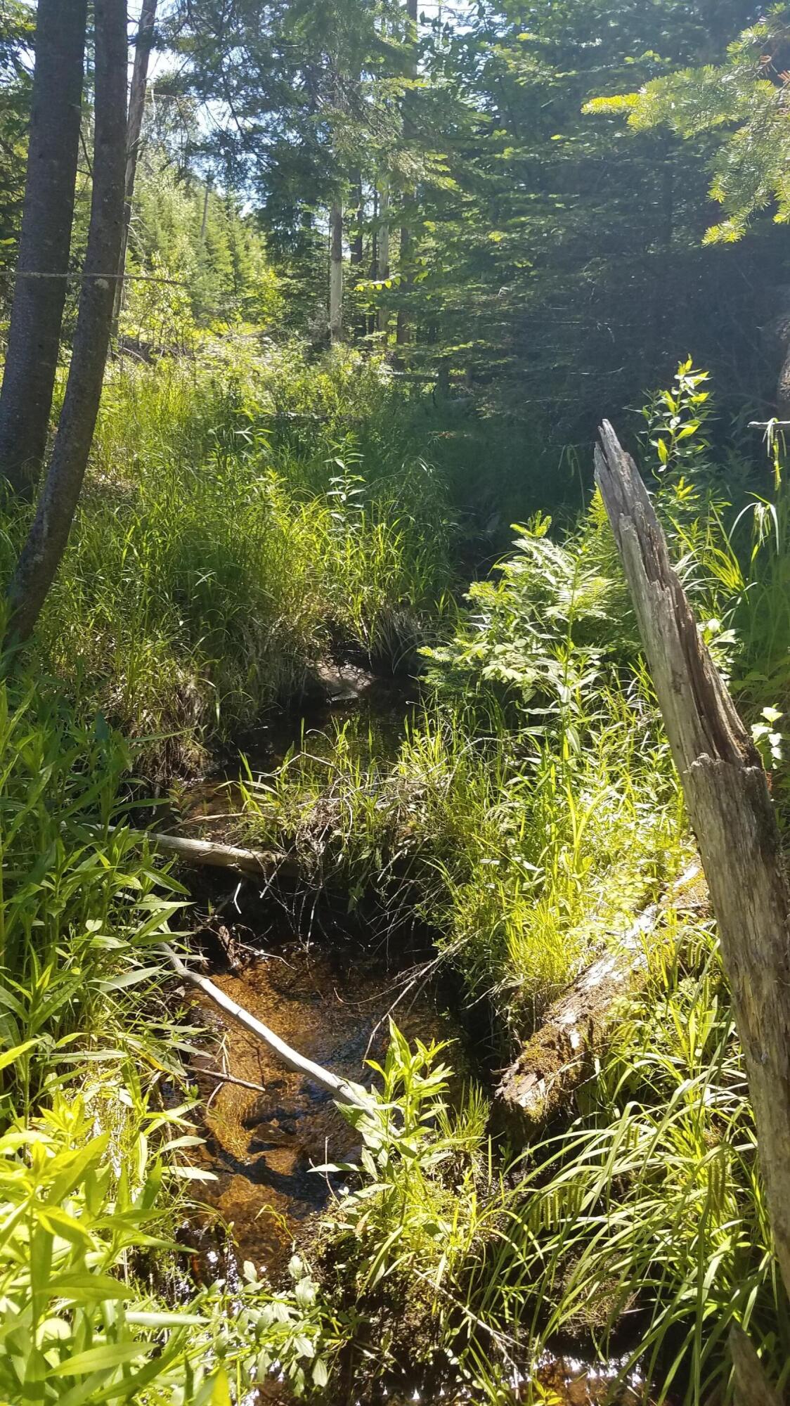 0 Bear Cub Lane Lake Placid NY 12946