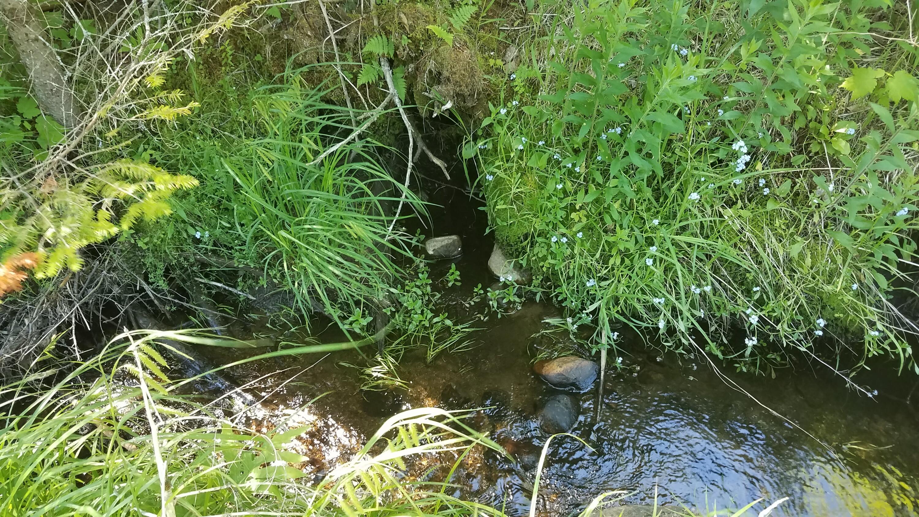 0 Bear Cub Lane Lake Placid NY 12946